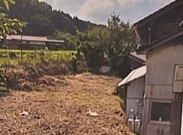 お家の裏の除草作業の作業後