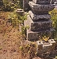 お墓のお掃除・除草の作業前